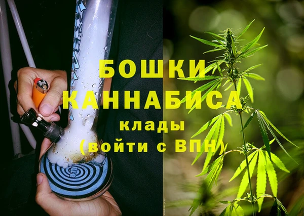 PSILOCYBIN Белоозёрский