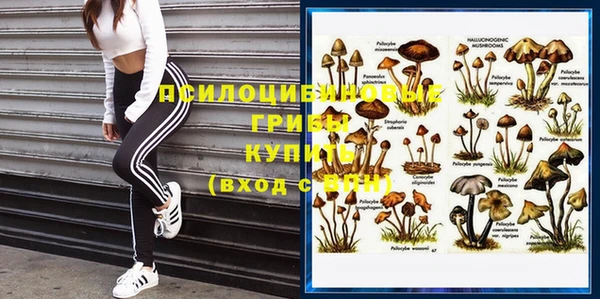 крисы Нея