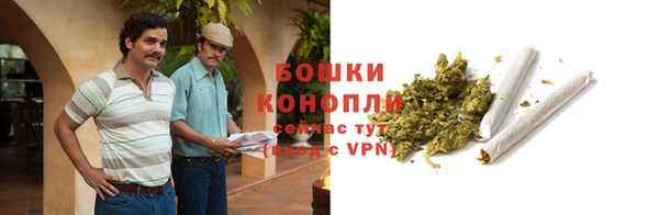 спиды Нефтекумск