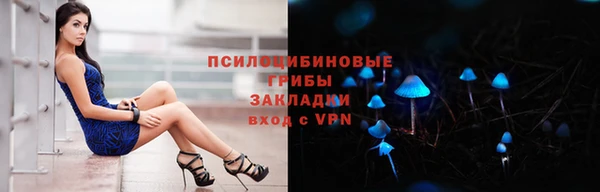 ешки Нефтегорск