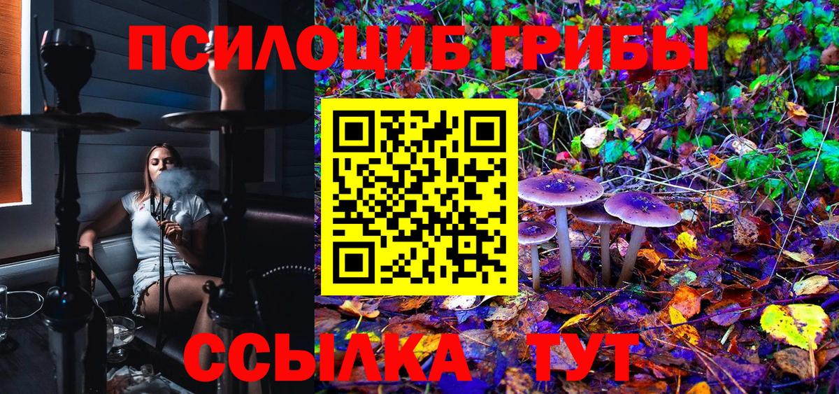 Галлюциногенные грибы Cubensis Обнинск