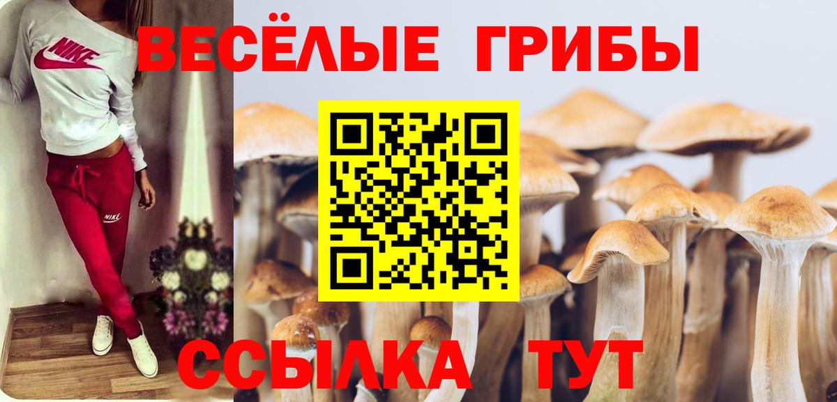 Псилоцибиновые грибы Psilocybe  Галлюциногенные грибы ЛСД  Обнинск 