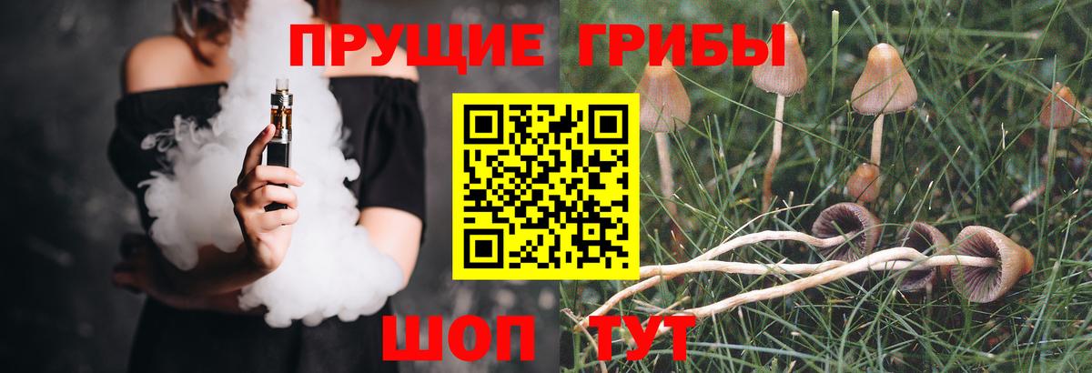 Галлюциногенные грибы мухоморы  Псилоцибиновые грибы мицелий  Вход с VPN  Обнинск 